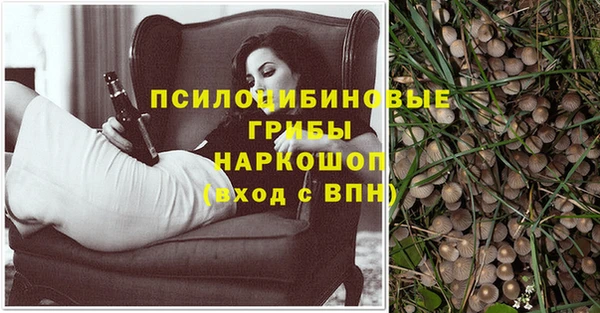 соль ск Верея