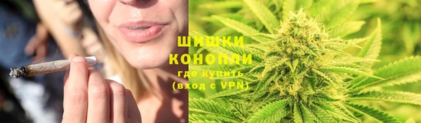 мдпв Верхний Тагил