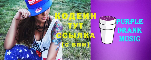 мдпв Верхний Тагил